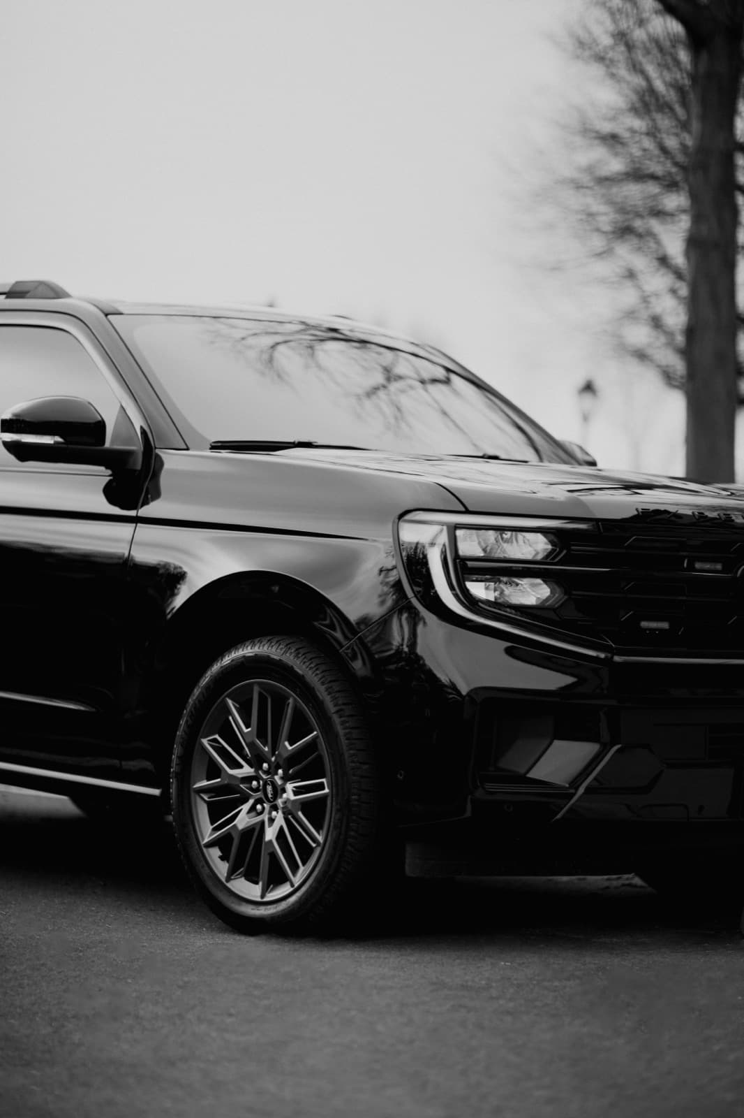 Executive protection SUV detail